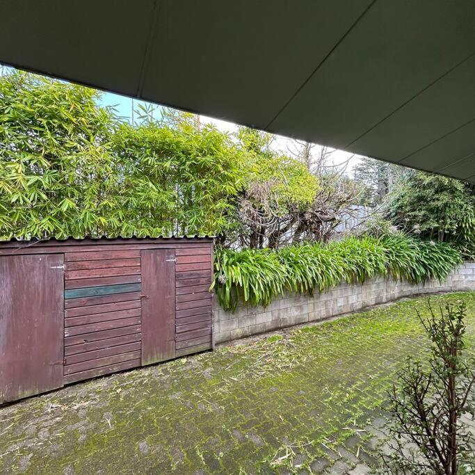 Peaceful Green Bay Charmer Auckland Esterno foto